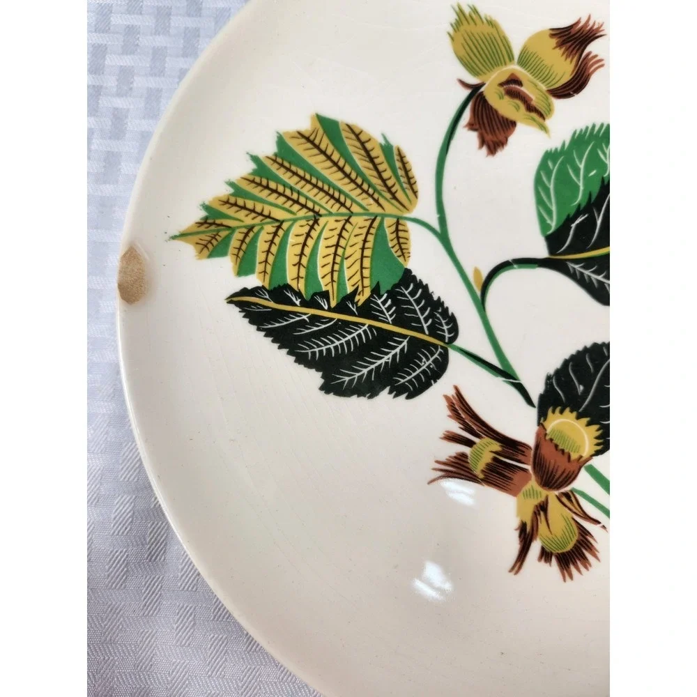 Ballerina China Hazelnut Potteries Leaves & Nuts Set of 8 Dinner Plates